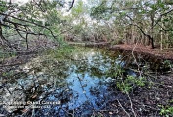 Lote de Terreno en  Carretera Nuevo Xcan-tulum, Francisco Uh May, Tulum, Quintana Roo, 77796, Mex