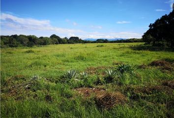 Lotes y Terrenos en  Santa Clara, Antón