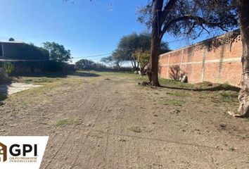 Lote de Terreno en  Ejido Plan De Ayala O Santa Rosa, León