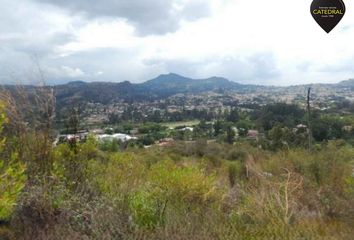 Terreno Comercial en  Llacao, Cuenca