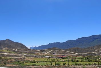 Lote de Terreno en  Calle Viñedo Mexicano 114-176, Fraccionamiento Los Viñedos, Santa Catarina, Nuevo León, 66367, Mex