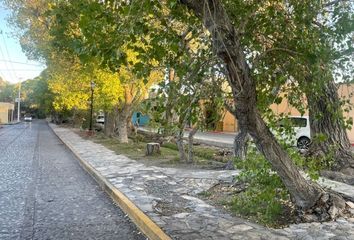 Lote de Terreno en  Arteaga, Arteaga, Arteaga, Coahuila