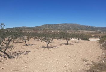 Terreno en  Pinoso, Alicante Provincia