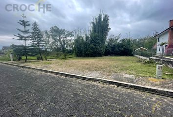 Lote de Terreno en  Coatepec Centro, Coatepec, Veracruz