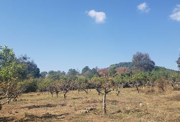 Lote de Terreno en  Valle De Bravo, Valle De Bravo