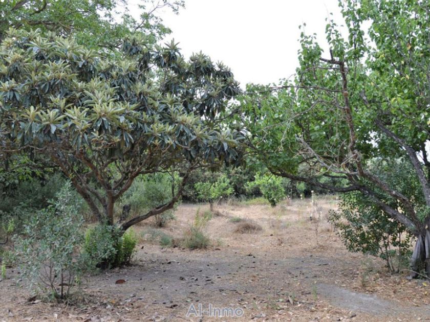 Chalet en venta El Bosque, Cádiz Provincia