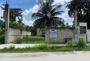 142 lotes de terrenos económicos en venta en Cozumel 