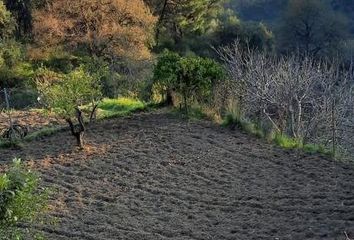 Chalet en  Estepona, Málaga Provincia