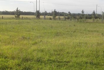 Terrenos en  Río Cuarto, Córdoba