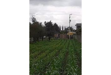Lote de Terreno en  