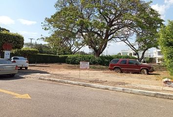 Lote de Terreno en  El Centro, Cúcuta