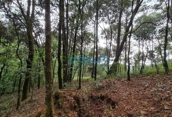 Lote de Terreno en  Avándaro, Valle De Bravo