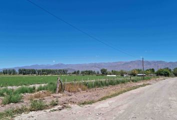 Terrenos en  San Carlos, Mendoza