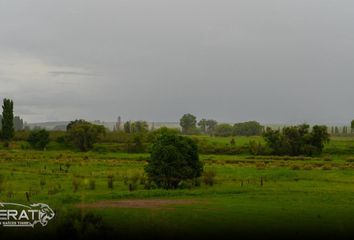 Casa en  Vicente Guerrero, Chihuahua