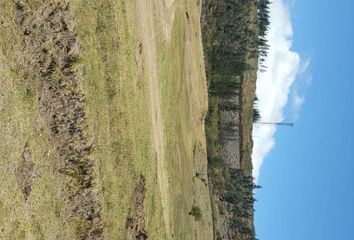 Terreno Comercial en  Fco. De Orellana 805 Y Portugal, Pifo 170175, Ecuador