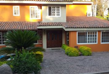 Casa en  Palmira Tinguindin, Cuernavaca, Morelos