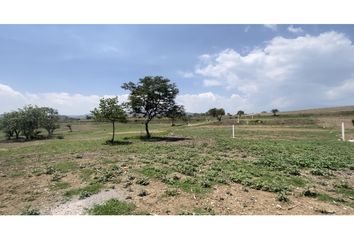 Lote de Terreno en  Fraccionamiento Lomas De Cocoyoc, Atlatlahucan