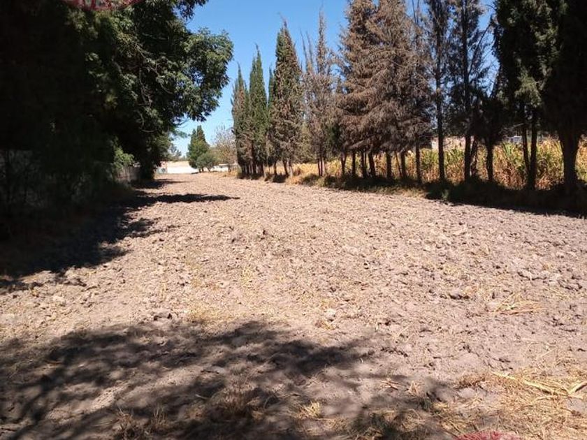 Venta Lote De Terreno En Rancho O Rancheria Valle Escondido Jes S