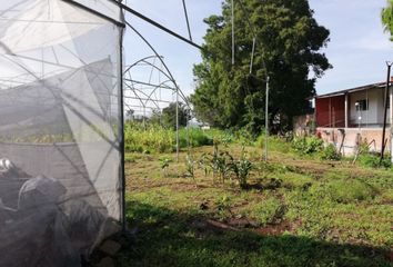 Lote de Terreno en  Fraccionamiento Pedregal De Las Fuentes, Jiutepec, Morelos