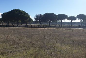 Terreno en  Aldeamayor De San Martin, Valladolid Provincia