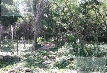 Lote de Terreno en  Chemax, Yucatán