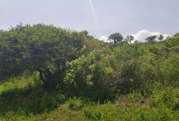 Lote de Terreno en  El Ahuehuete, Tlayacapan