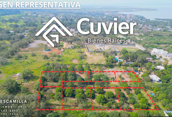 Lote de Terreno en  Bella Vista, Pueblo Viejo, Pueblo Viejo, Veracruz