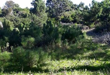 Terrenos en  Otro, Villa Gesell