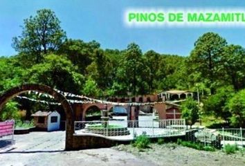 Lote de Terreno en  Colonia Mazamitla, Mazamitla