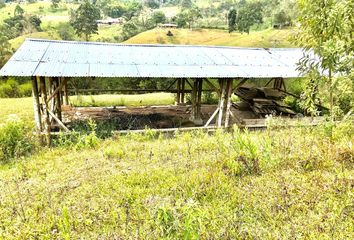 Lote de Terreno en  Carrera 4 1 20, Palo Alto, La Cumbre, Valle Del Cauca, Col