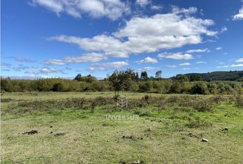 Parcela en  Fresia, Llanquihue