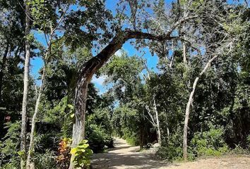 Lote de Terreno en  Coba, Tulum