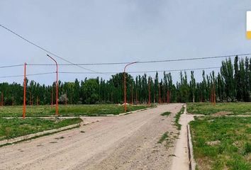 Terrenos en  Campo Grande, Río Negro