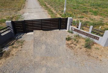 Parcela en  San Clemente, Talca