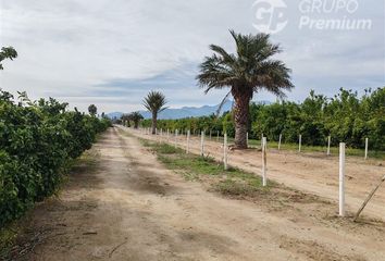 Parcela en  Hijuelas, Quillota