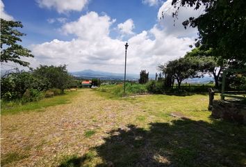 Lote de Terreno en  Camino Real, Sahuayo De Morelos