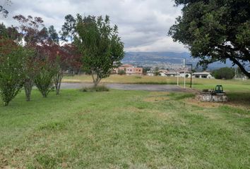 Terreno Comercial en  Guangopolo, Quito
