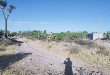 Lote de Terreno en  Mexquitic De Carmona, Estado San Luis Potosí