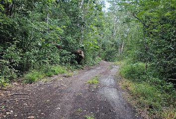 Lote de Terreno en  José María Morelos, Quintana Roo