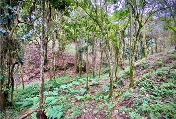 Lote de Terreno en  Envigado, Antioquia