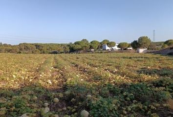 Terreno en  Cartaya, Huelva Provincia