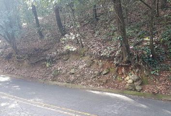 Lote de Terreno en  Bosques De San Ángel Sector Palmillas, San Pedro Garza García