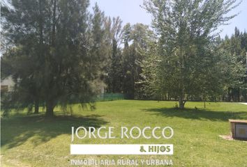 Terrenos en  Coronel Brandsen, Brandsen, Provincia De Buenos Aires, Arg