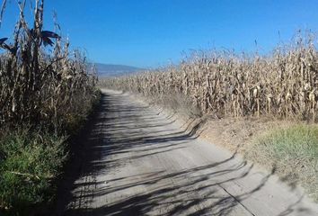 Lote de Terreno en  Mexicaltzingo, Estado De México