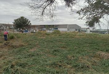 Lote de Terreno en  Bruno Pagliai, Municipio Veracruz