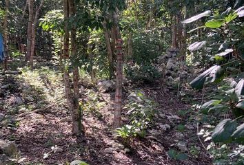 Lote de Terreno en  Coba, Tulum