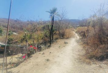 Lote de Terreno en  Jiutepec, Jiutepec, Jiutepec, Morelos