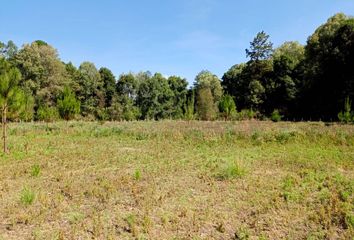 Lote de Terreno en  Amanalco, México, Mex