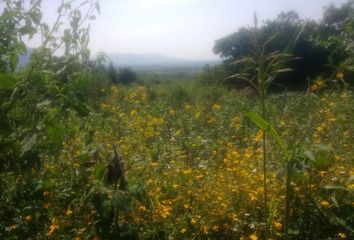 Lote de Terreno en  Rancho O Rancheria San Andrés De La Cal, Tepoztlán