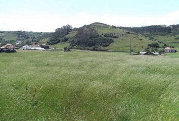 Terreno en  Oreña, Cantabria